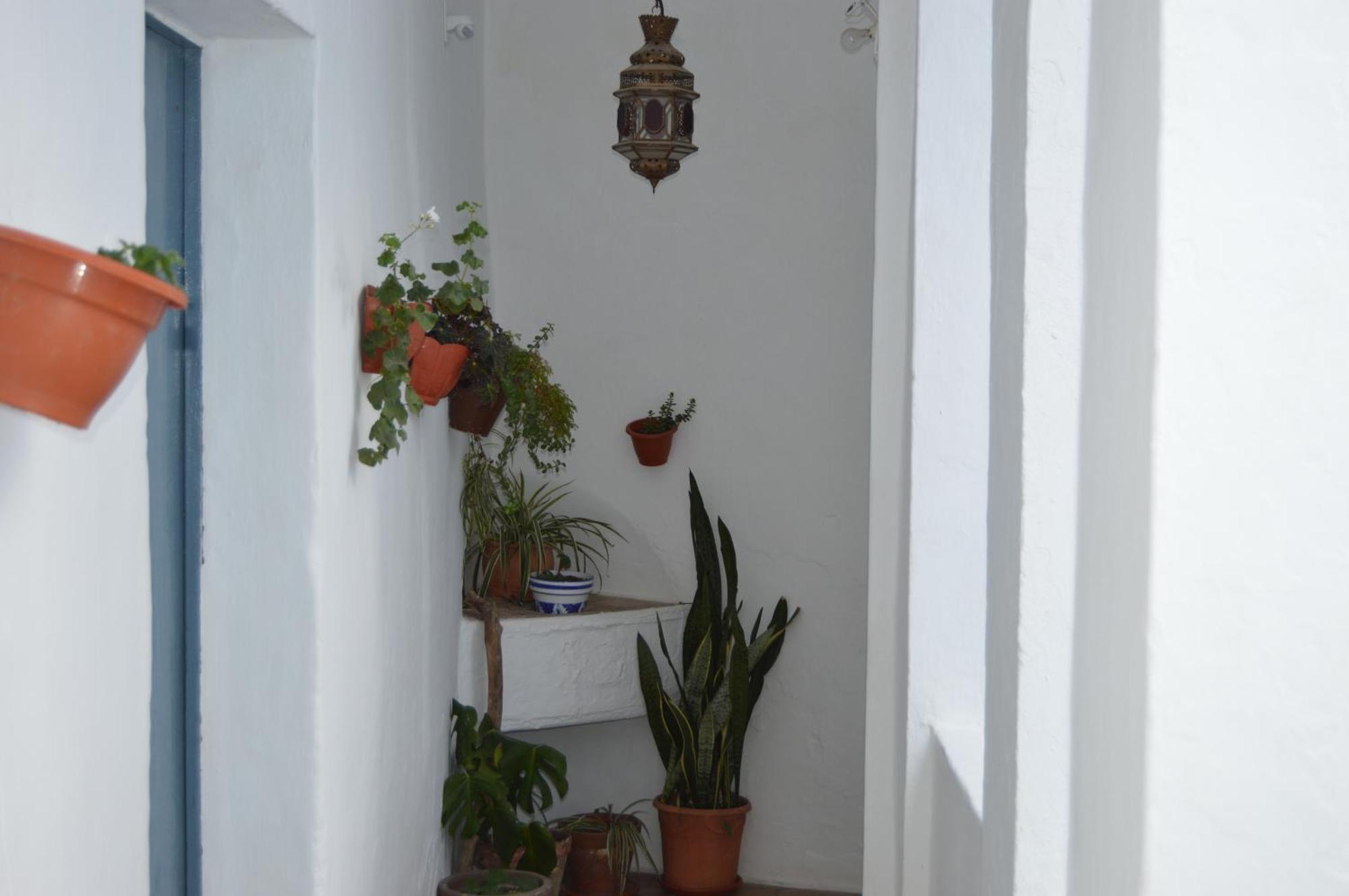 Ferienwohnung Nuestra Casa En Vejer Vejer de la Frontera Exterior foto